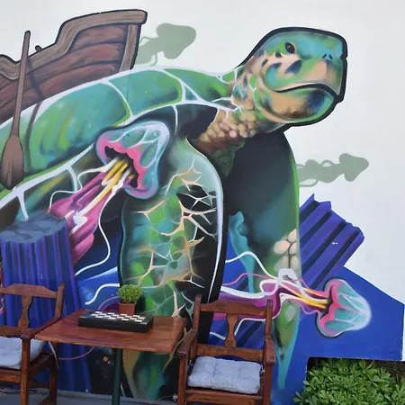 Caretta Caretta Dalyan